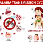 Safety Tips on Malaria