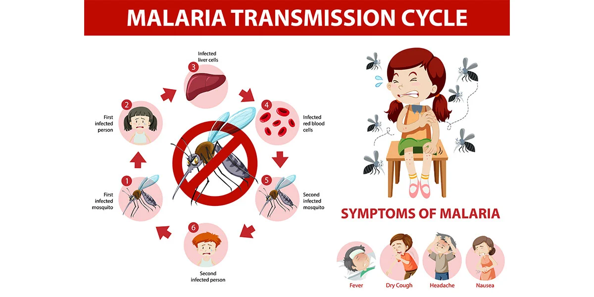 Safety Tips on Malaria
