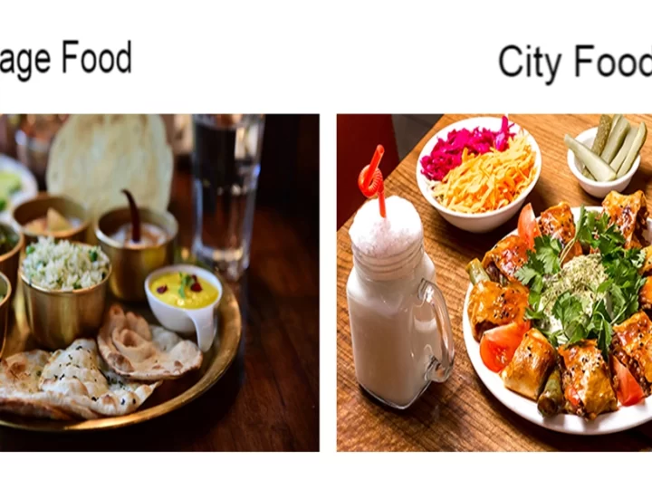 Difference Between Village Food And City Food