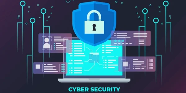 Cyber Security: Maximizing Protection Within Constraints