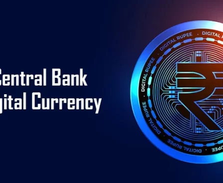 Central Bank Digital Currency